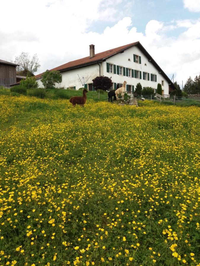 Ferme O'Cles Lägenhet Le Peuchapatte Exteriör bild
